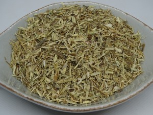 Brennessel Wurzel